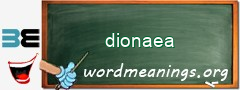 WordMeaning blackboard for dionaea